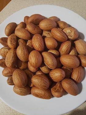 Public product photo - Bitter Kola Nut Garcinia Kola Cola 1 Lb